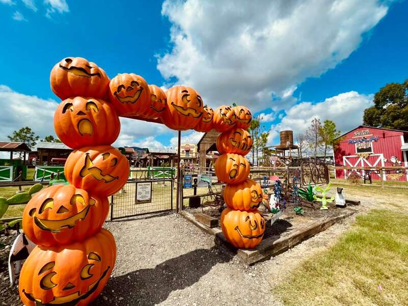 Best Pumpkin Patches in DallasFort Worth Where to Pick Pumpkins This Fall Thrillist