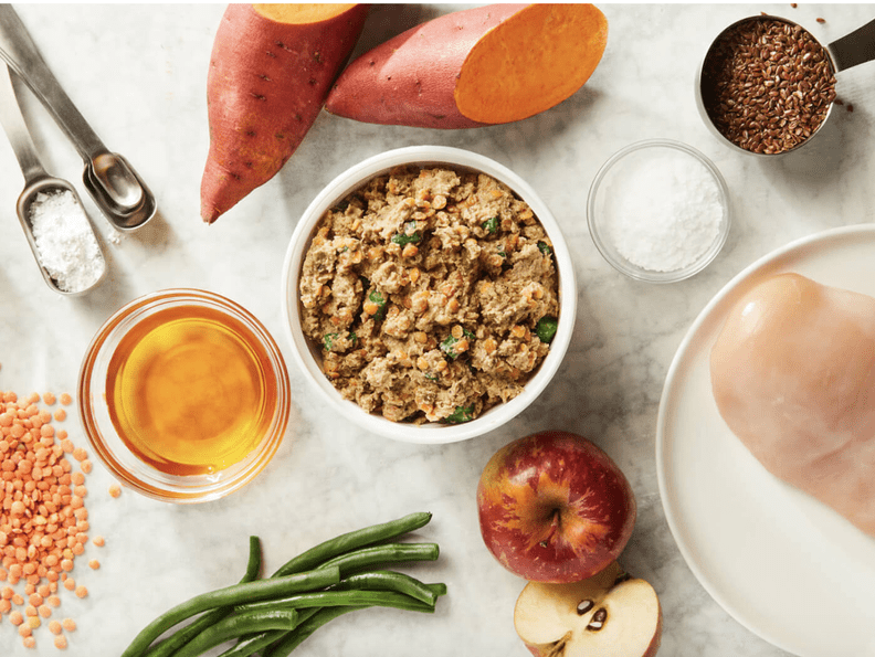 11 Best Dog Food Delivery Subscriptions For Pet Parents DodoWell