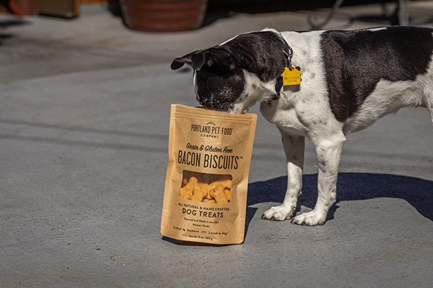 What Does It Mean When A Dog Nudges You