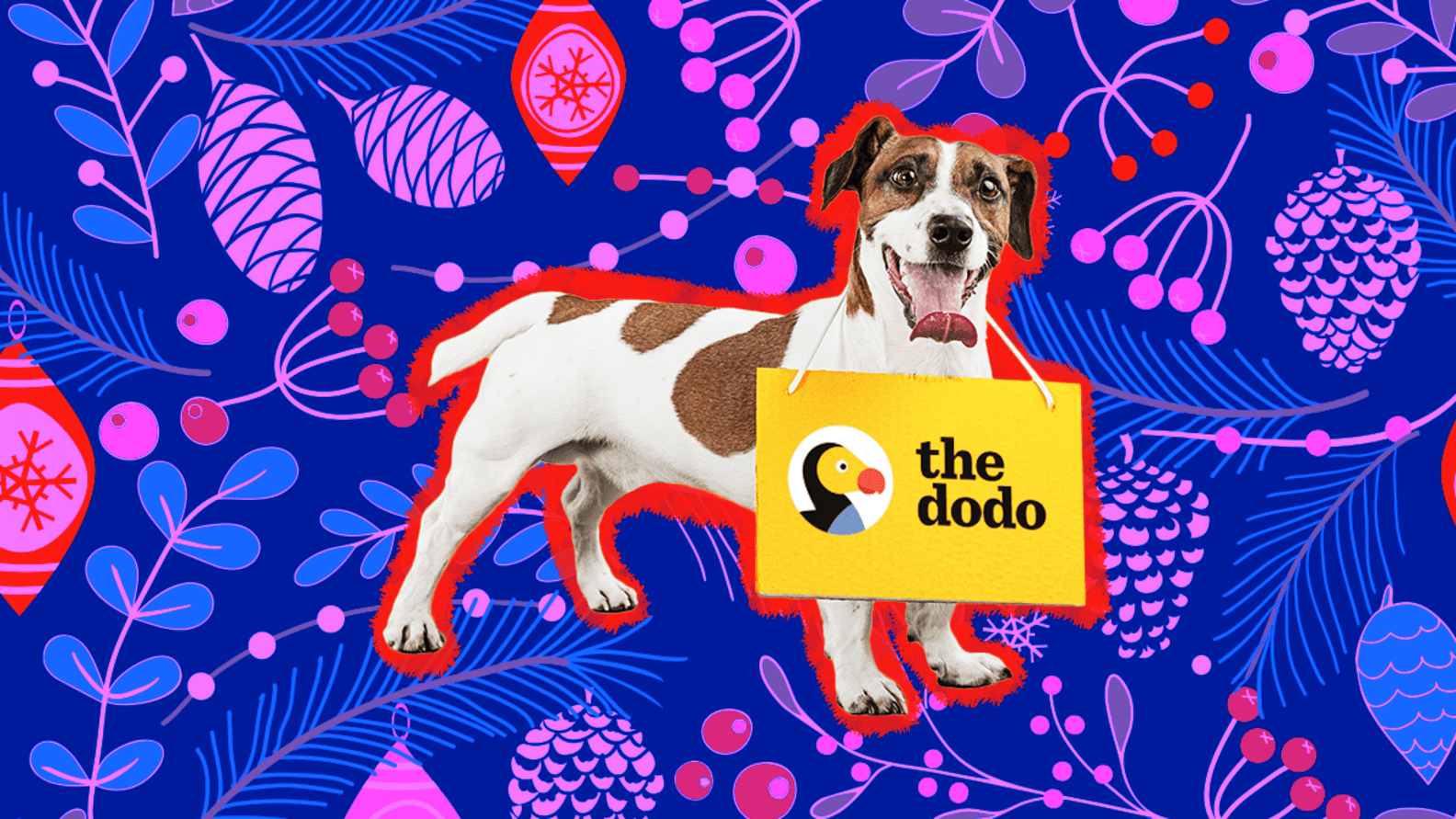 Chewy Black Friday Cyber Monday Pet Deals 23 Ways To Save On Products