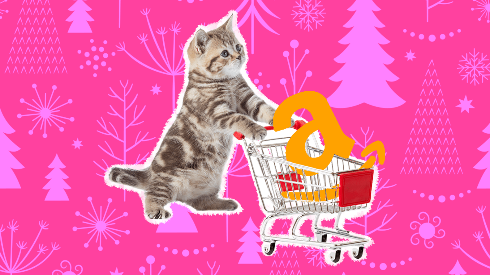 Amazon Black Friday Cyber Monday Pet Deals 30 Ways To Spoil Your Dog