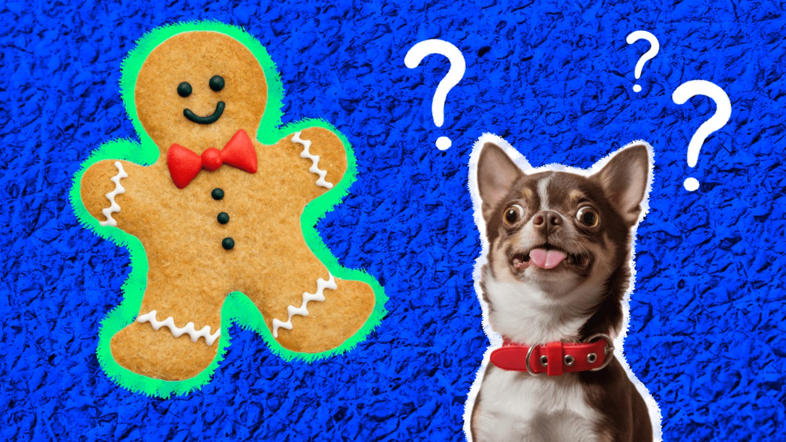 Can Dogs Eat Gingerbread? What Dog Parents Need To Know DodoWell