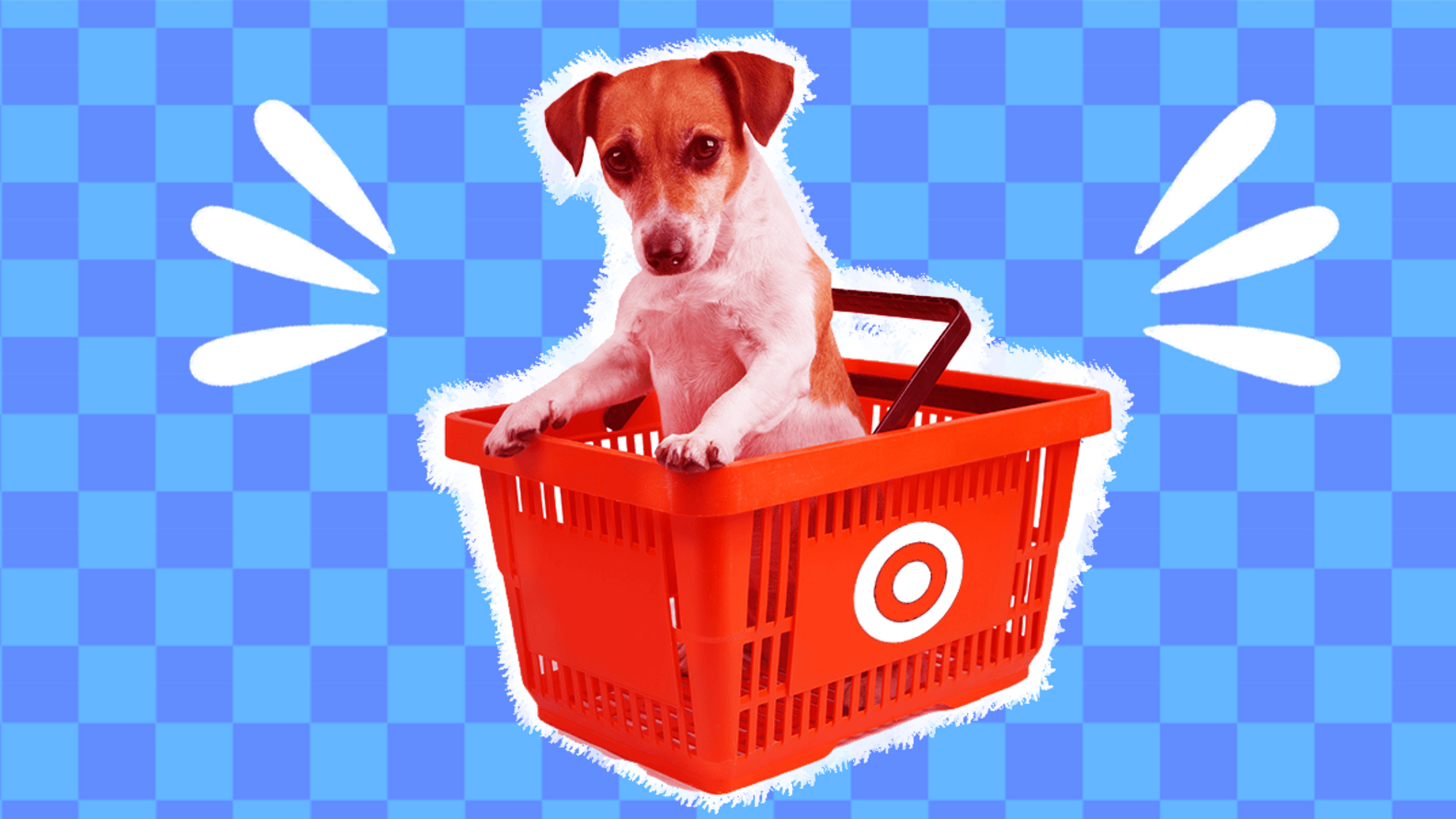 Are Dogs Allowed In Target? What To Know About The Retailer’s Pet