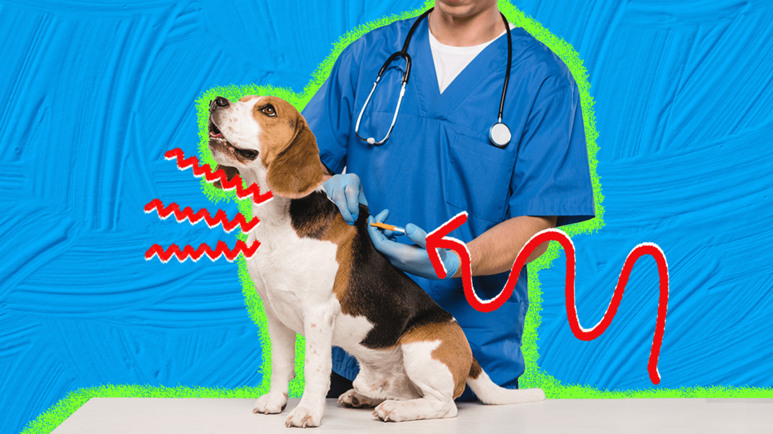 Cytopoint Injection For Dogs Why It Can Help Dogs With Skin Allergies