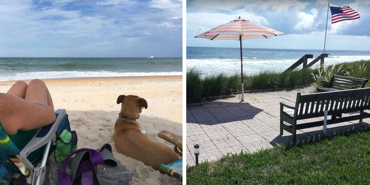 This DogFriendly Vacation Rental Home In Florida Comes With Its Own Private Beach DodoWell