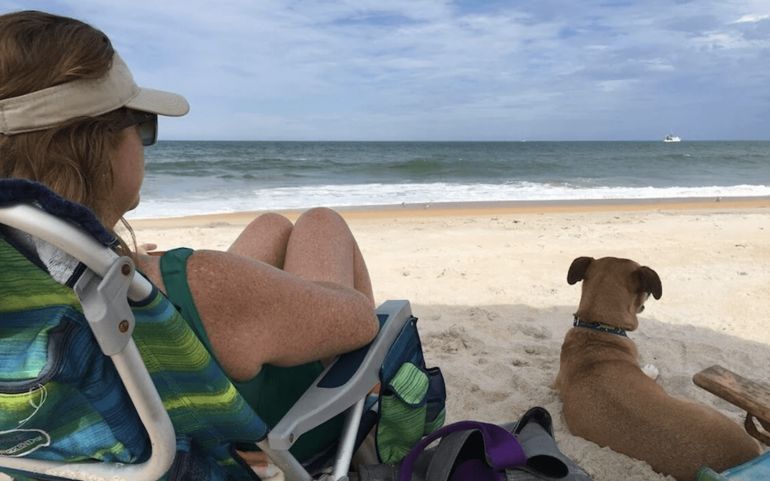 This DogFriendly Vacation Rental Home In Florida Comes With Its Own