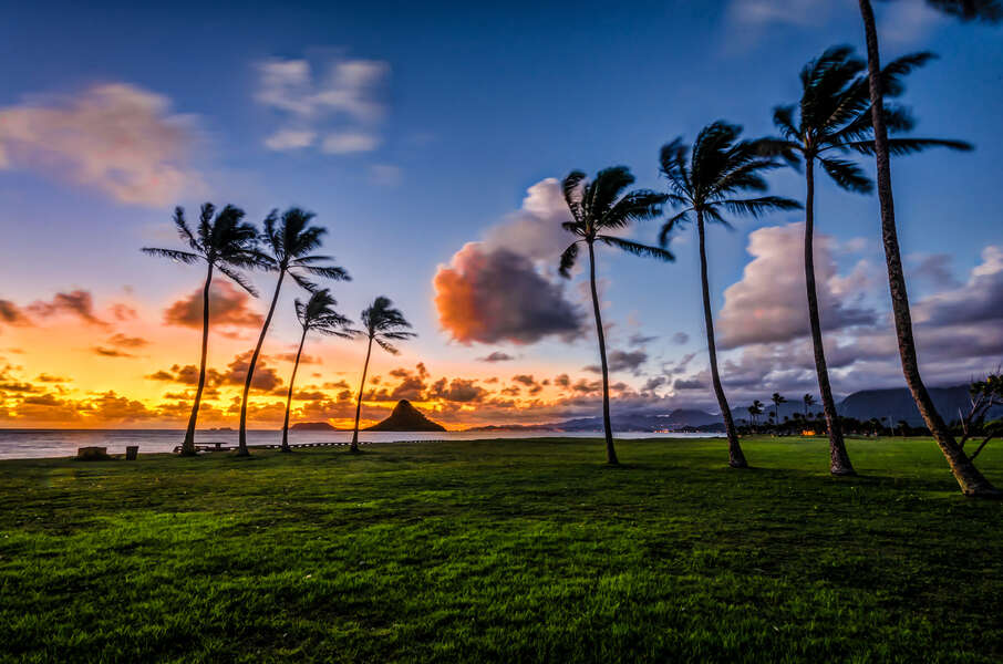 Hawaiian Airlines Has Cheap OneWay Flights to Hawaii for April and May