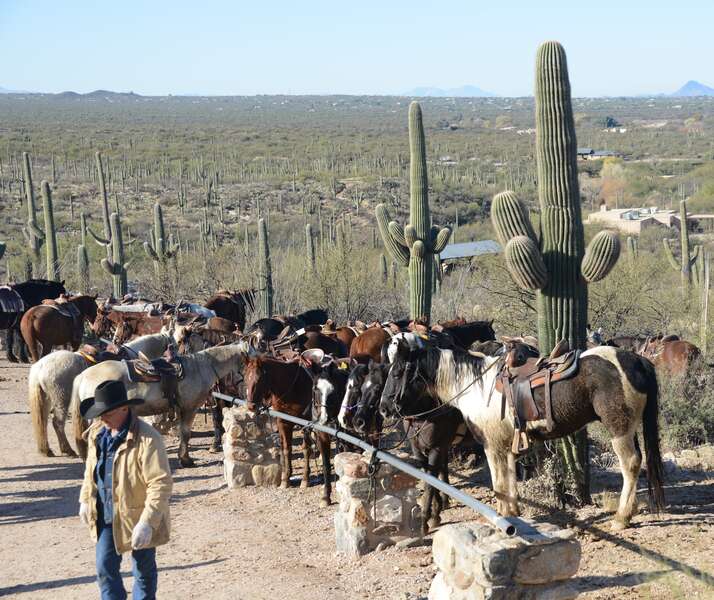 Dude Ranches in Arizona Ride Horses at These Tucson Dude Ranches