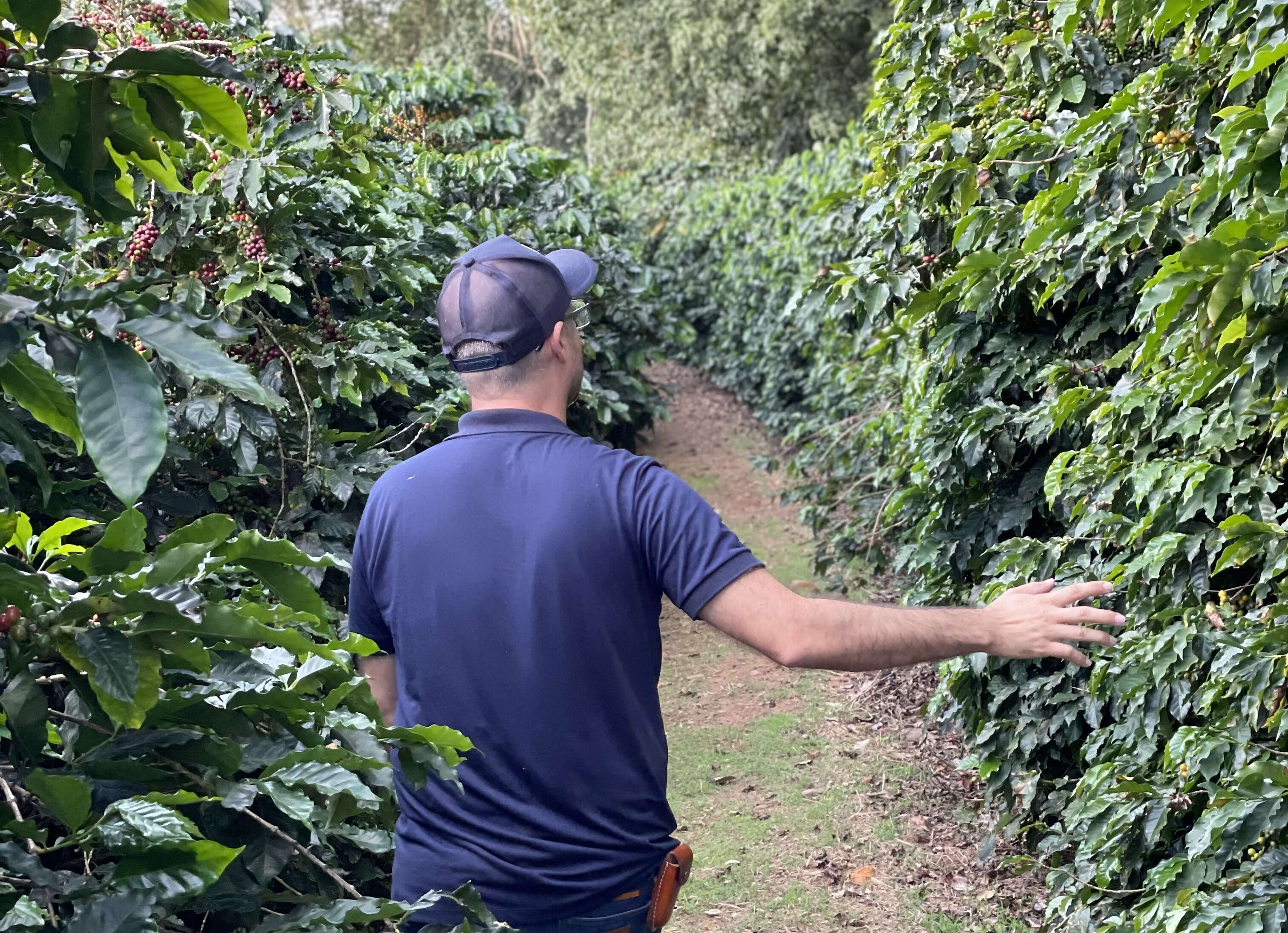 Discover the Best Coffee Roasters in Dallas for a Simple and Delicious Brew