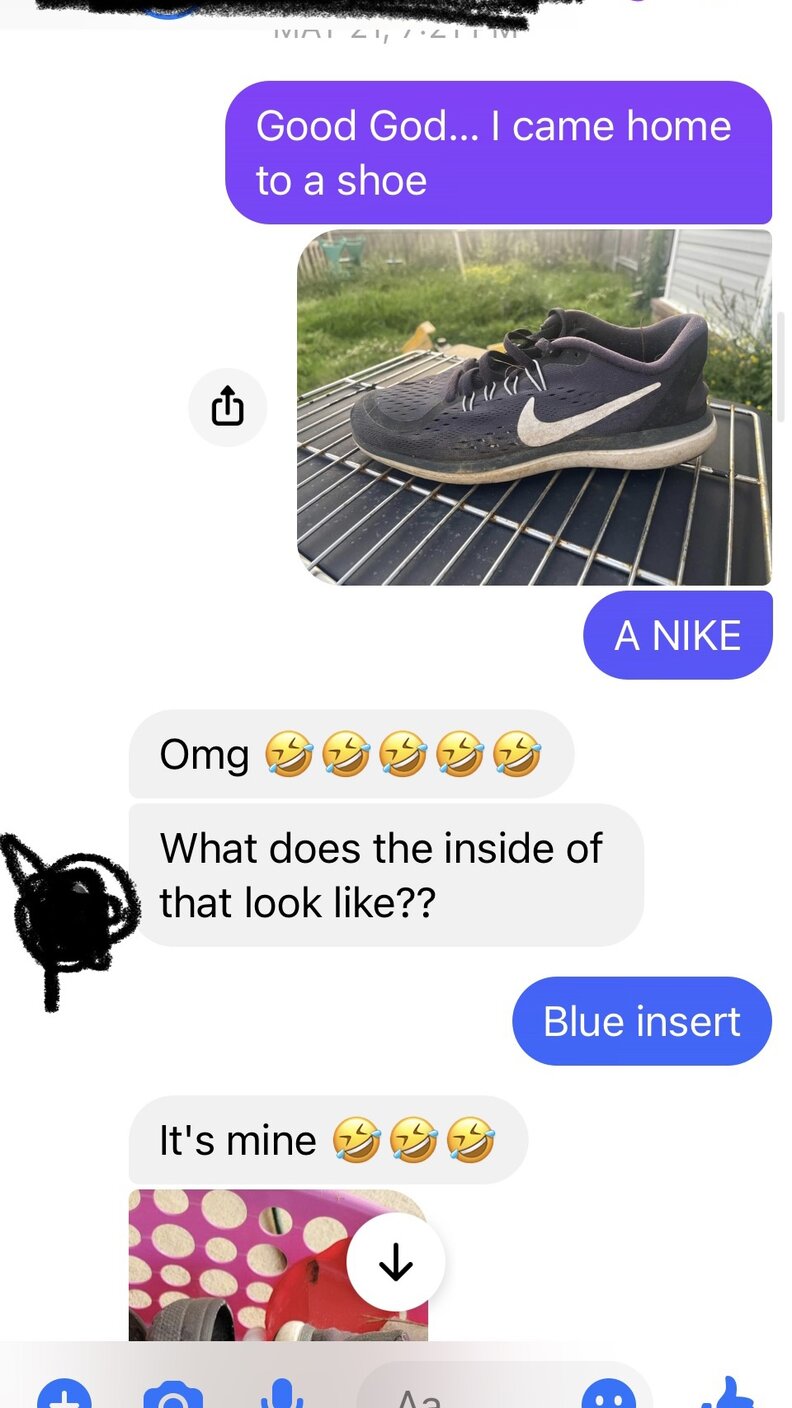 Neighborhood Cat Won't Stop Stealing Every Pair Of Nike Shoes He Sees