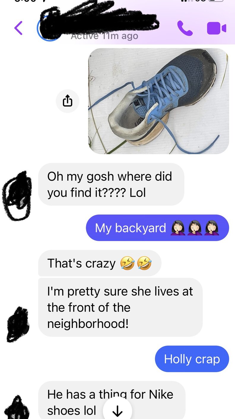 Neighborhood Cat Won't Stop Stealing Every Pair Of Nike Shoes He Sees