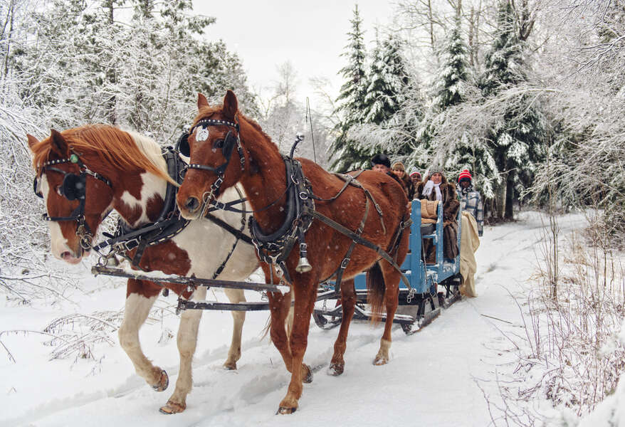 Book The Jingle Bell Chocolate Tour 2023 in Jackson, New Hampshire Thrillist