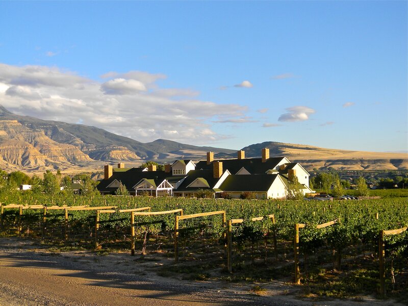 Things to Do in Palisade, Colorado Wineries, Peaches, and Festivals