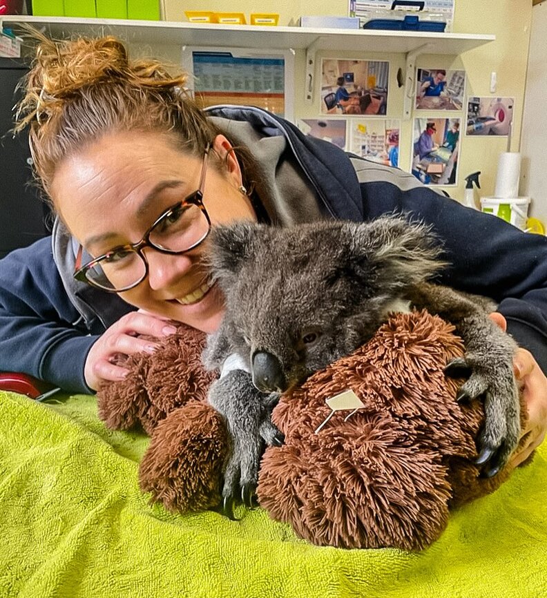 ‘No, I’m Not Tired’ — Injured and Exhausted, a Wild Mother Fights