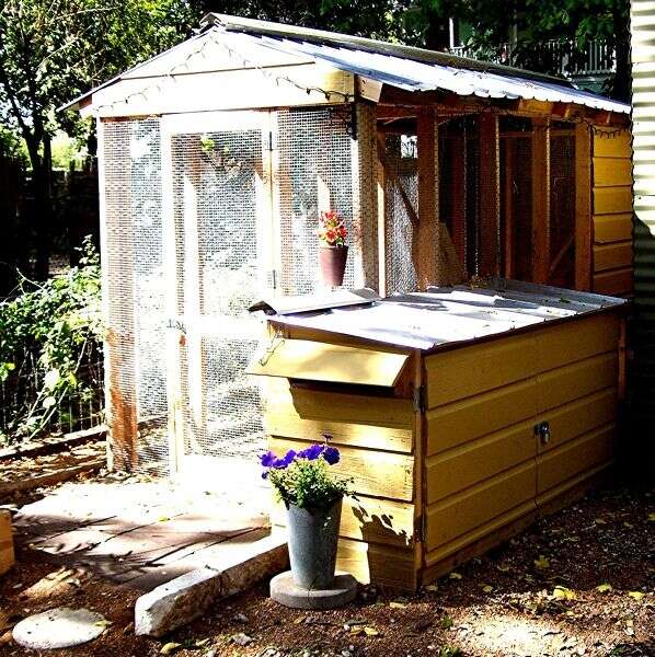 Funky Chicken Coop Tour Own Thrillist Austin