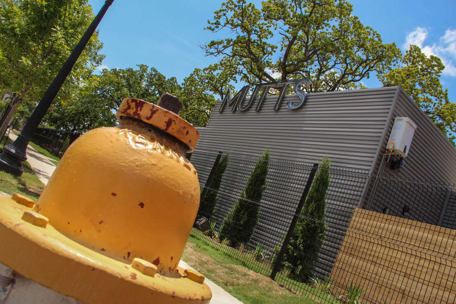 Mutts Canine Cantina A Bar in Dallas, TX Thrillist