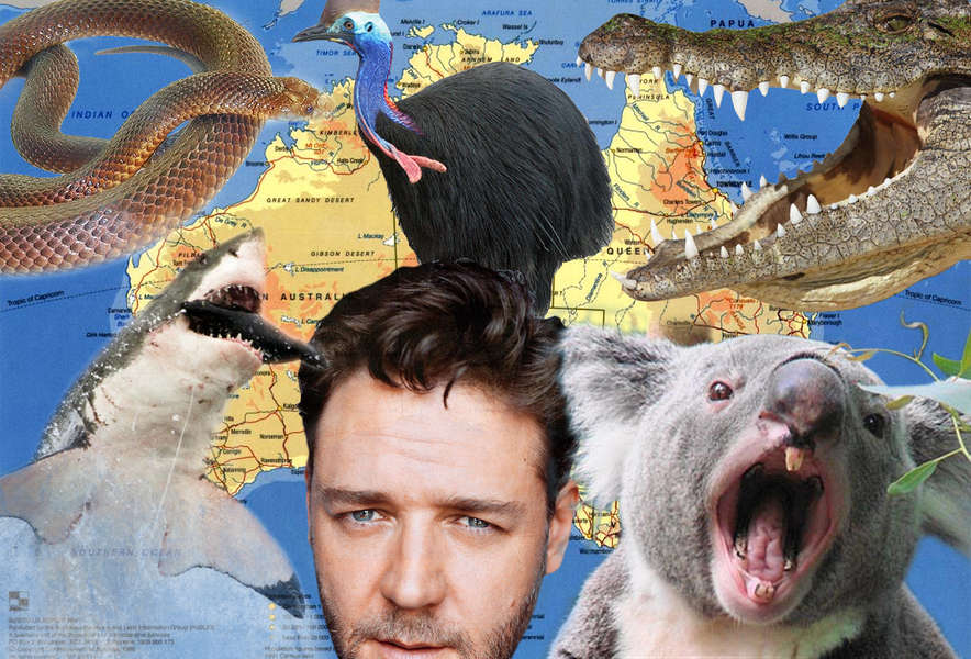 Things in Australia That Will Kill You Animals That Will Try to Kill