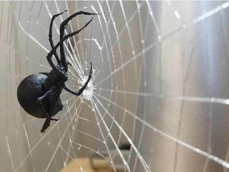 Detailed Spider + Web 3D print model