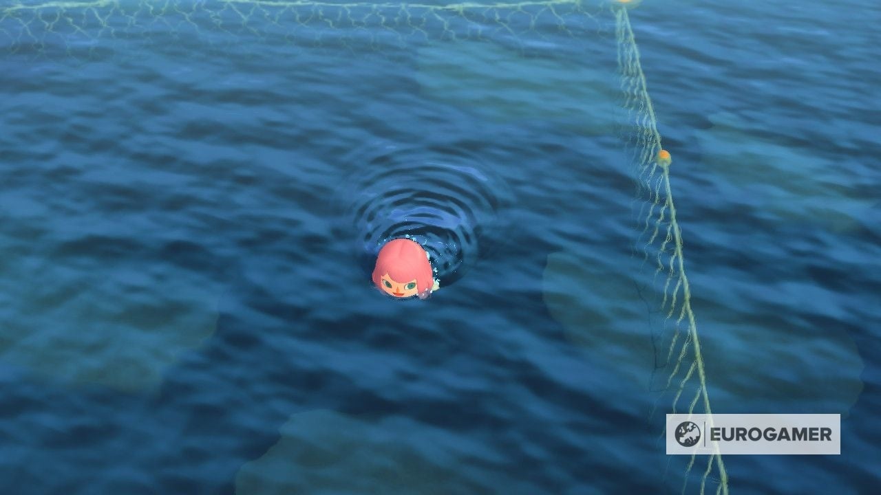 Animal Crossing Swimming How to swim, get a wetsuit and diving in New