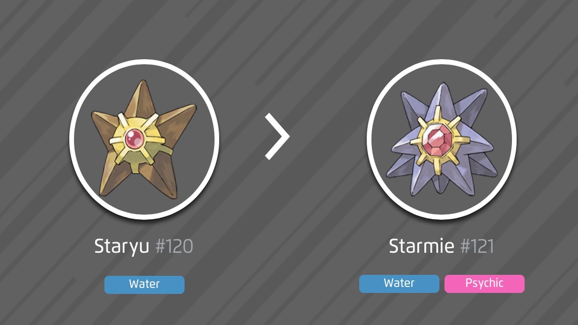 Staryu 100 perfect IV stats, shiny Staryu in Pokémon Go