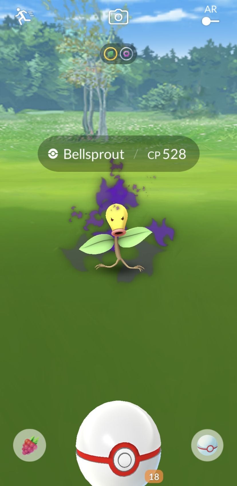 Pokémon Go Shadow Raids, including how Shadow Raids work, enraged