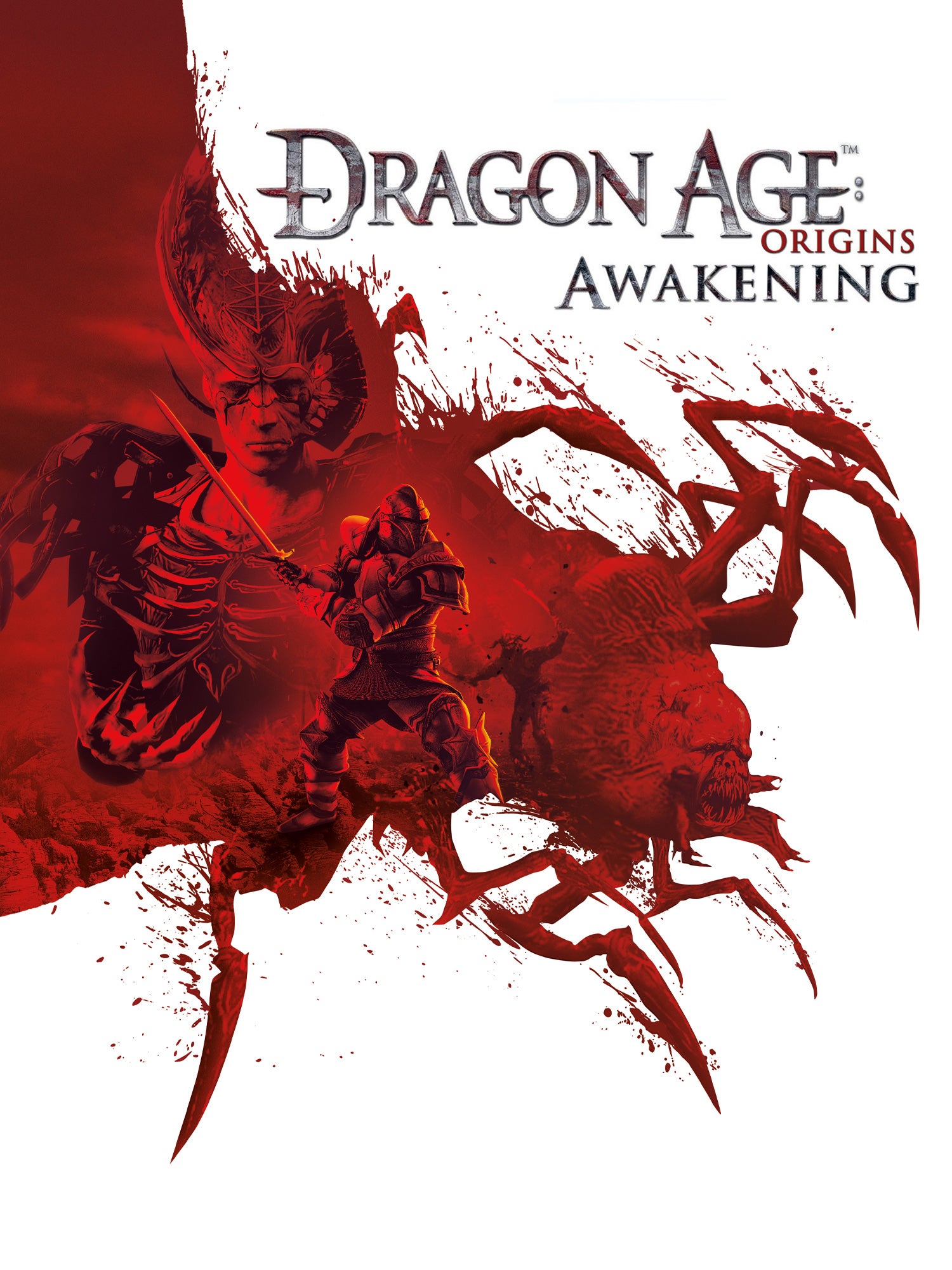 Dragon Age Origins Awakening