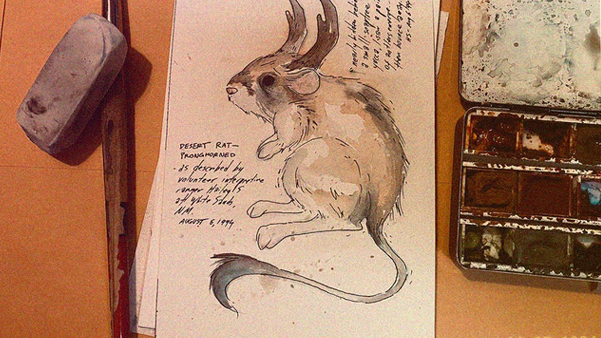 Keep your own physical journal over four weeks in storytelling game