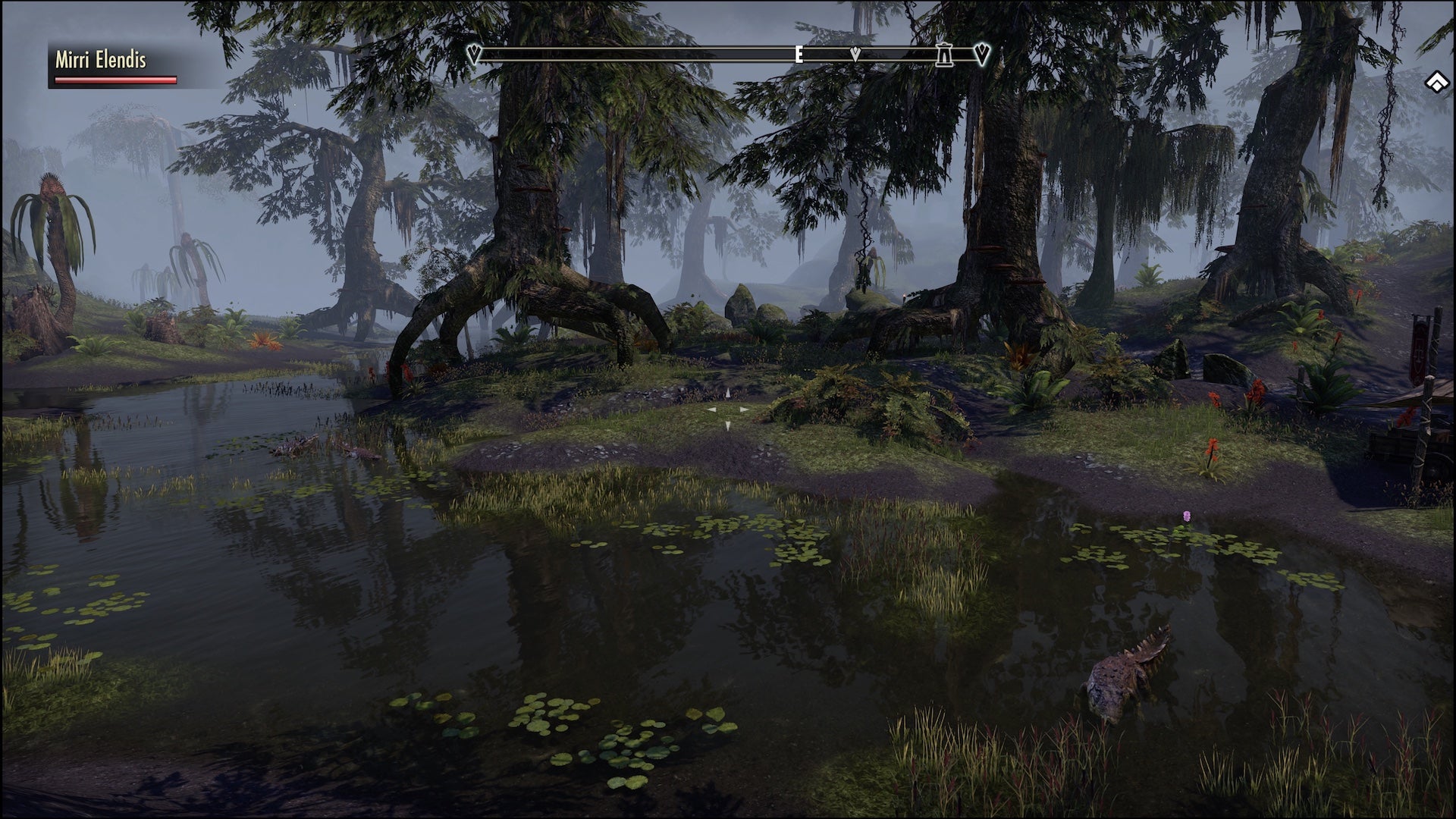 Playing The Elder Scrolls Online singleplayer is like discovering a