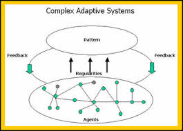 Complex Adaptive System - Assignment Point