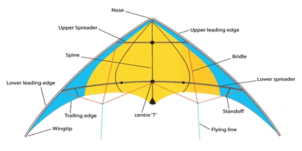 An Introduction to Kites - Assignment Point