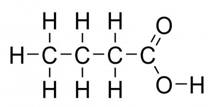 Butyric Acid - Assignment Point