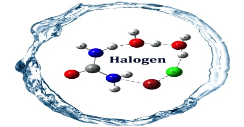 Halogen - Assignment Point