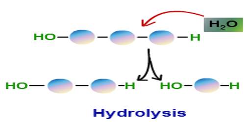 Hydrolysis - Assignment Point