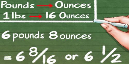 How to Add Pounds and Ounces? - Assignment Point