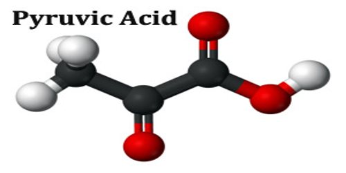 Pyruvic Acid Assignment Point