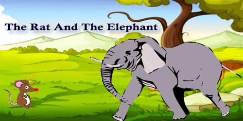 The Rat And The Elephant Assignment Point