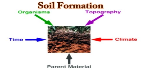Soil Formation - Assignment Point