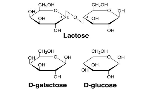 Lactose a disaccharide containing glucose and galactose units