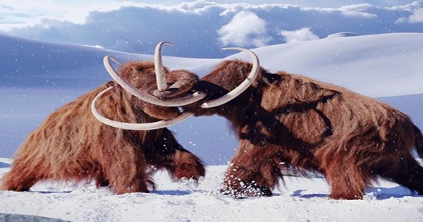 The Metaverse Now Has Scientifically Accurate Mammoths Assignment Point