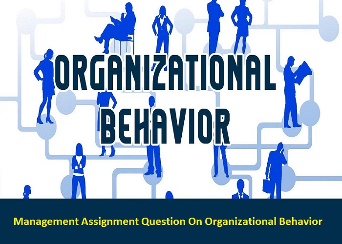 Management Assignment Question On Organizational Behavior Get 24/7