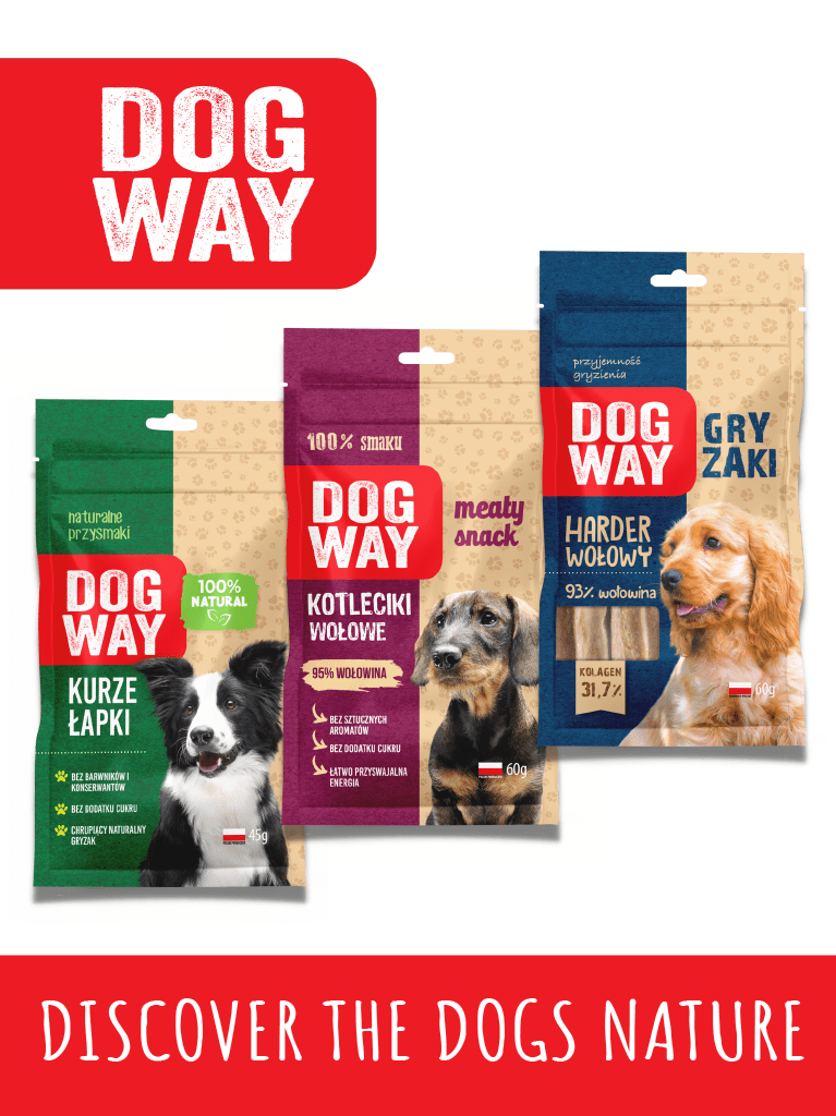 Home Assisi Pet Care