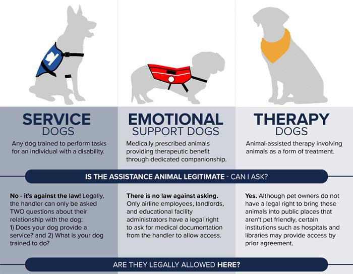 Emotional Support Animal & Service Dog CANADIAN ASSISTANCE DOG INSTITUTE