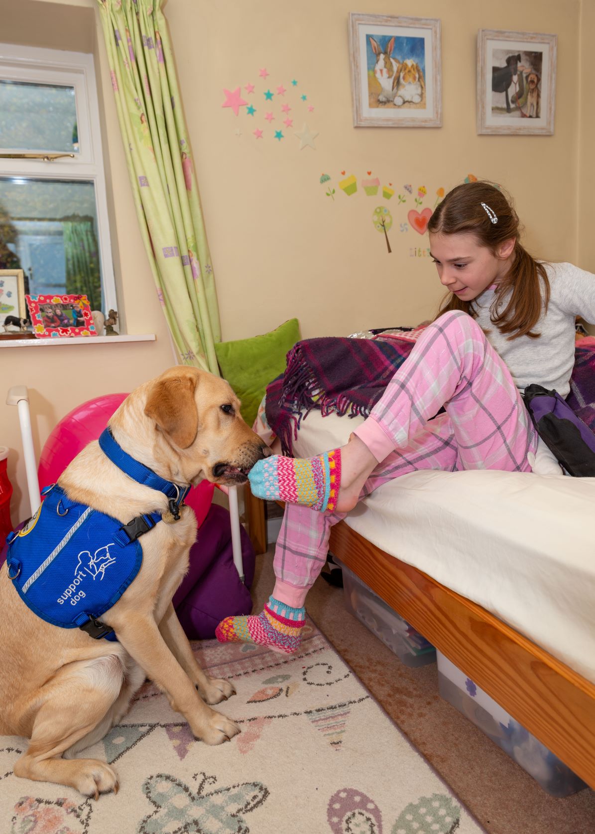 Assistance dogs unlocking the door to independent living Assistance