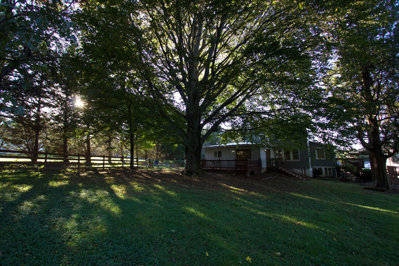 Dulaney Valley Assisted Living Senior Living in Baldwin