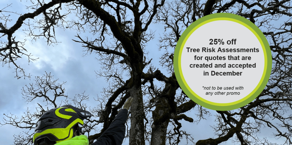 Tree Risk Assesments And Property Damage Associated Arborists