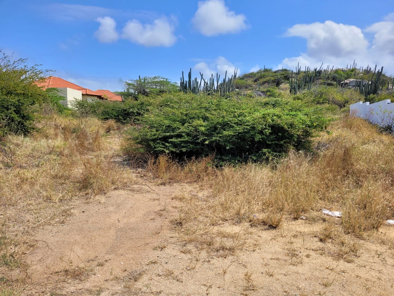 Properties Aruba Realtors Aruba