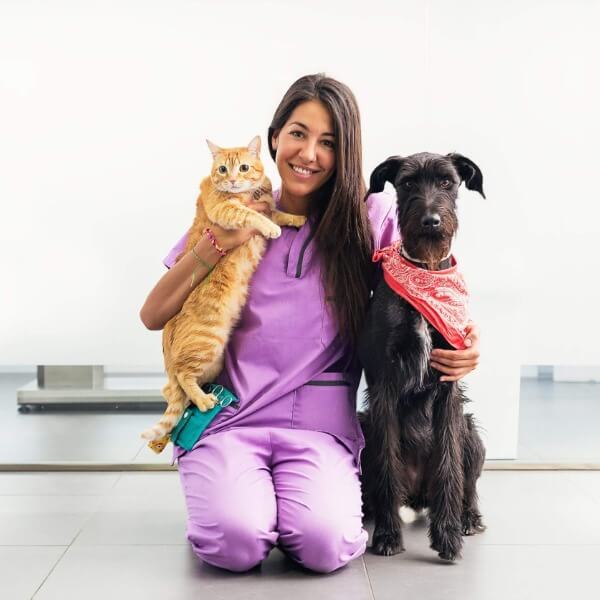 Veterinary Support Assistant Level 3 Online Course Association of
