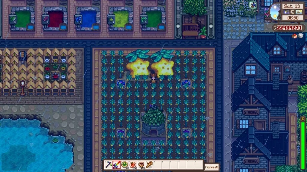 How To Get And Use The Starfruit in Stardew Valley Assorted Meeples