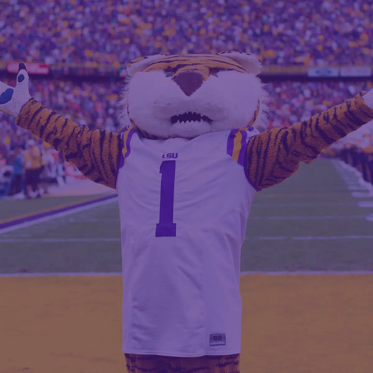 Proud Partner of LSU Athletics Assurance Financial
