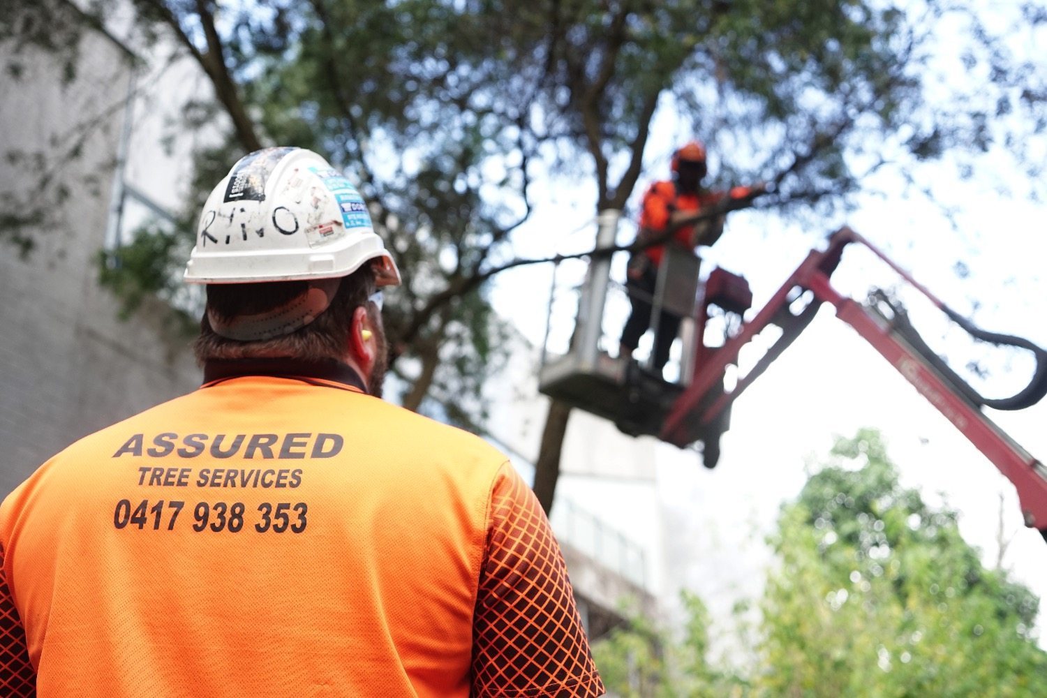 Guild insurance perth contact